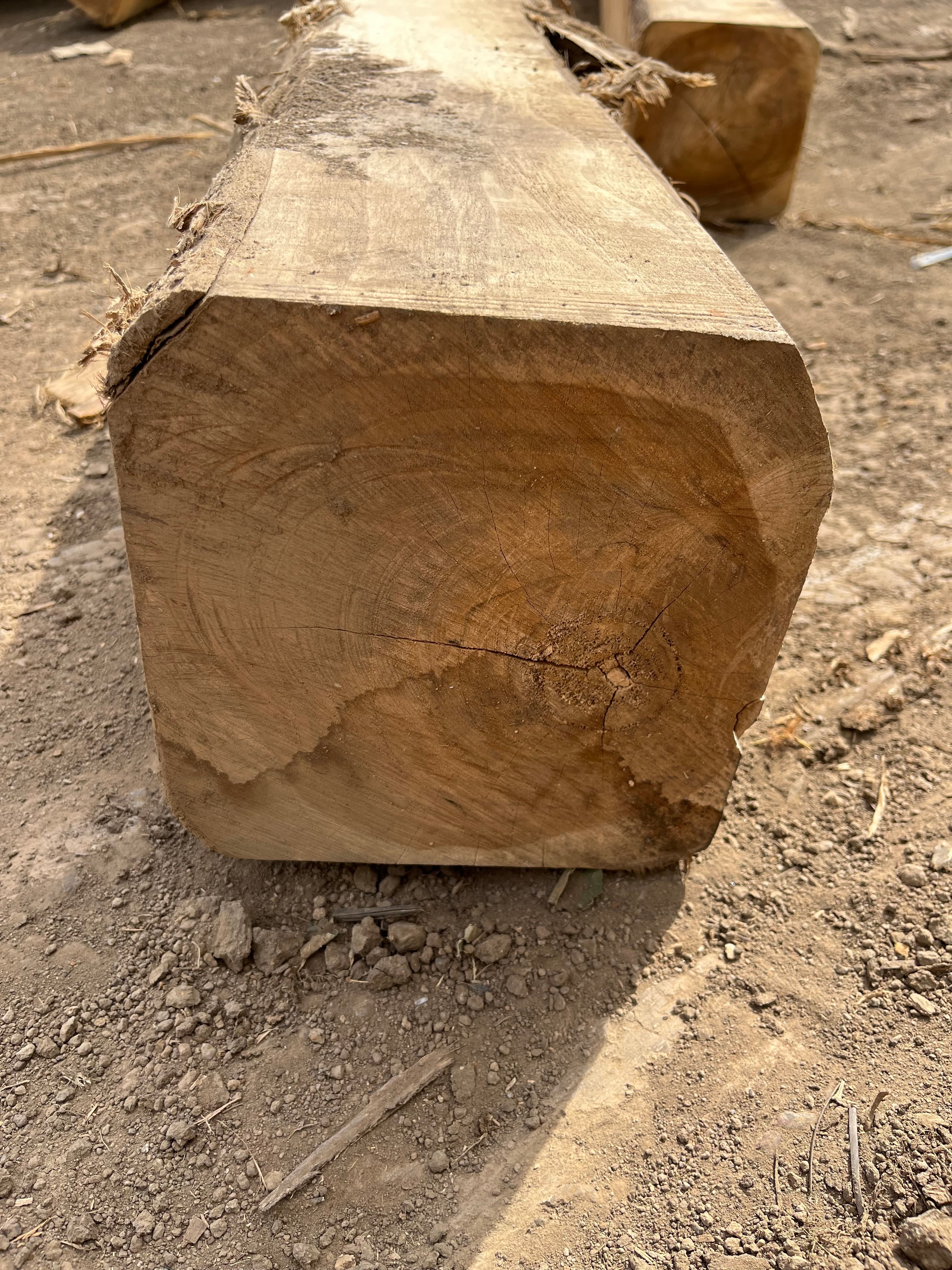 Square log