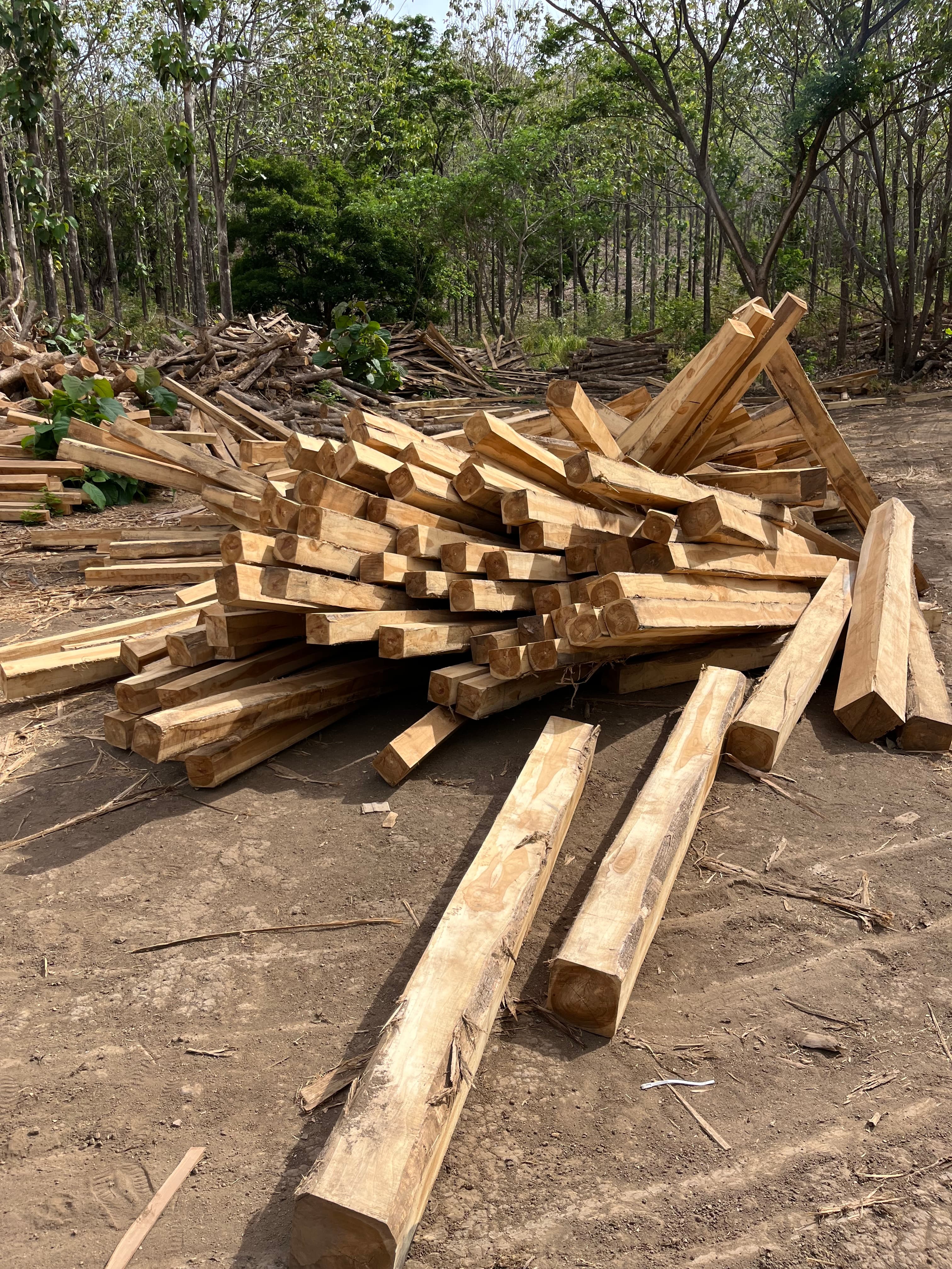 Square logs